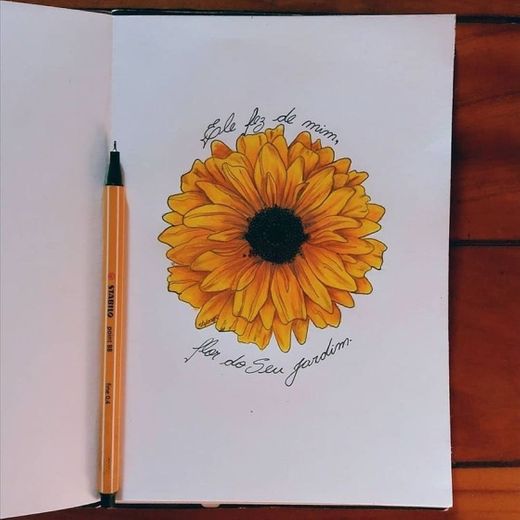 🌻 