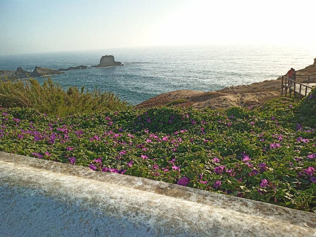 Place Zambujeira do Mar