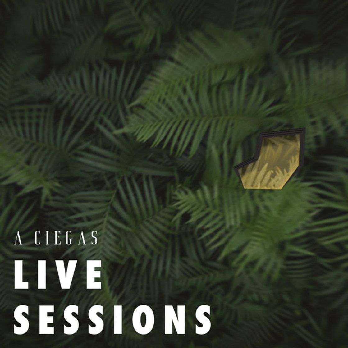 Music A Ciegas (Live Sessions)