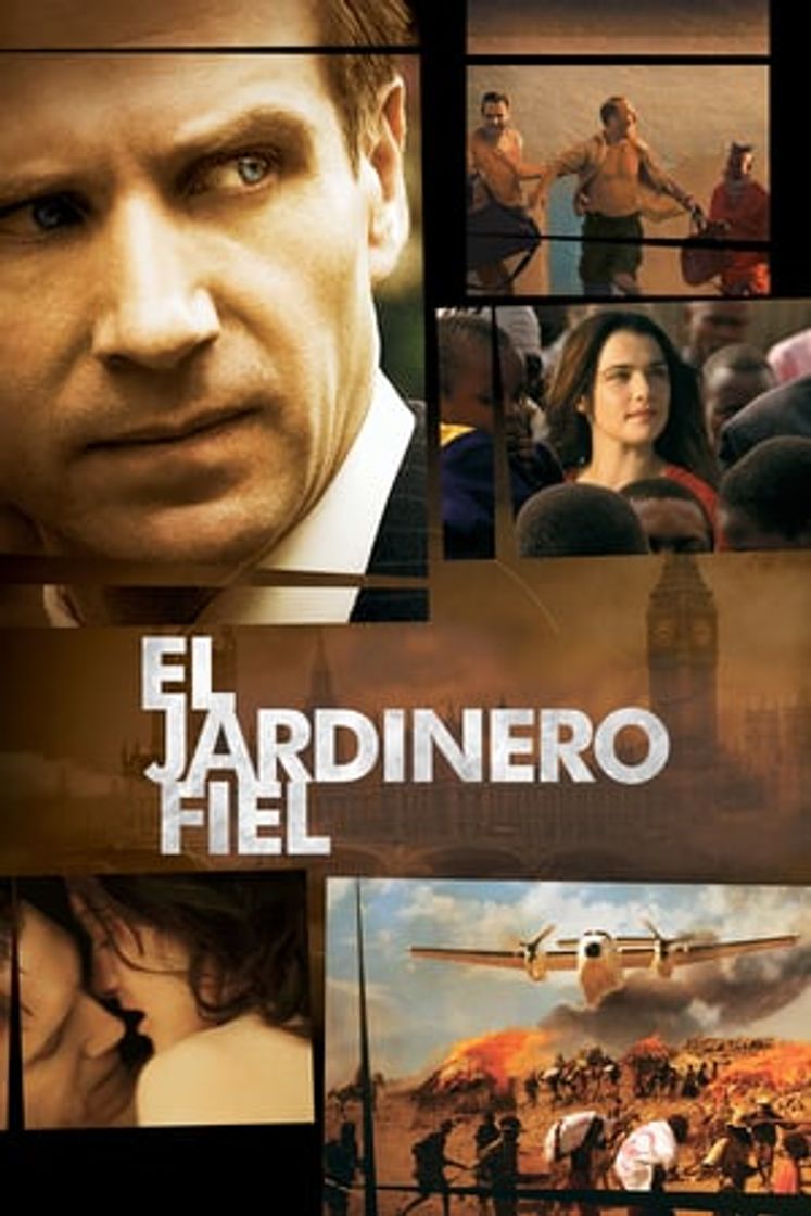 Película El jardinero fiel