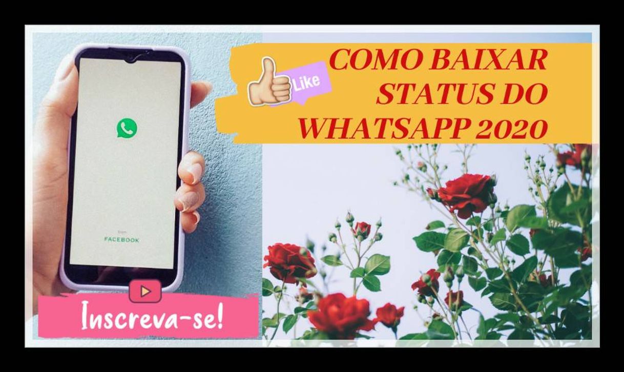 Moda Como baixar Status do seu Whatsapp