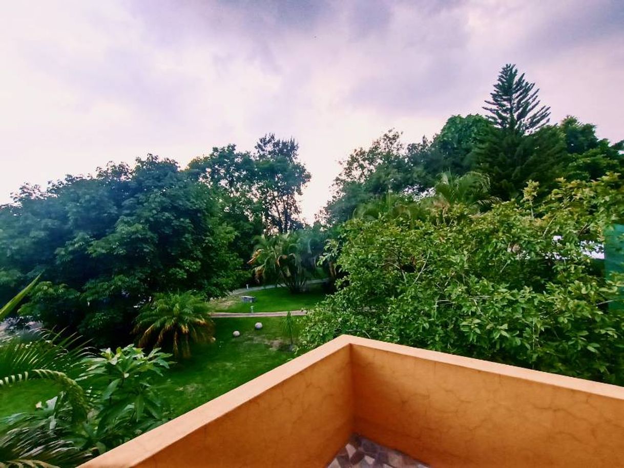 Lugares El Jardín De En Medio