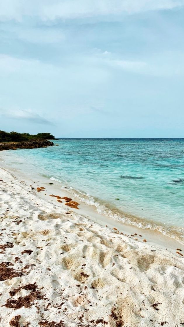 Lugar Los Roques