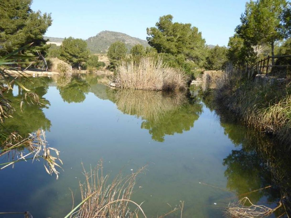 Lugar Fondo del Mata