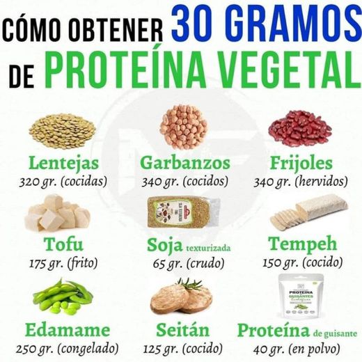 Como obter 30  gramas de proteínas vegetal