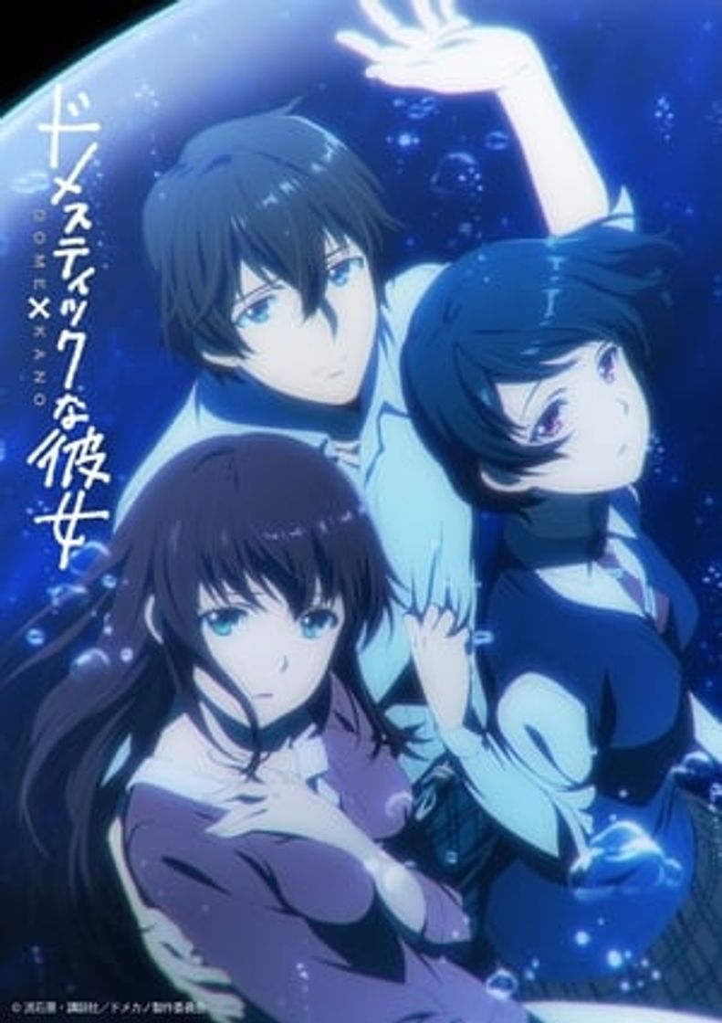 Serie Domestic Girlfriend