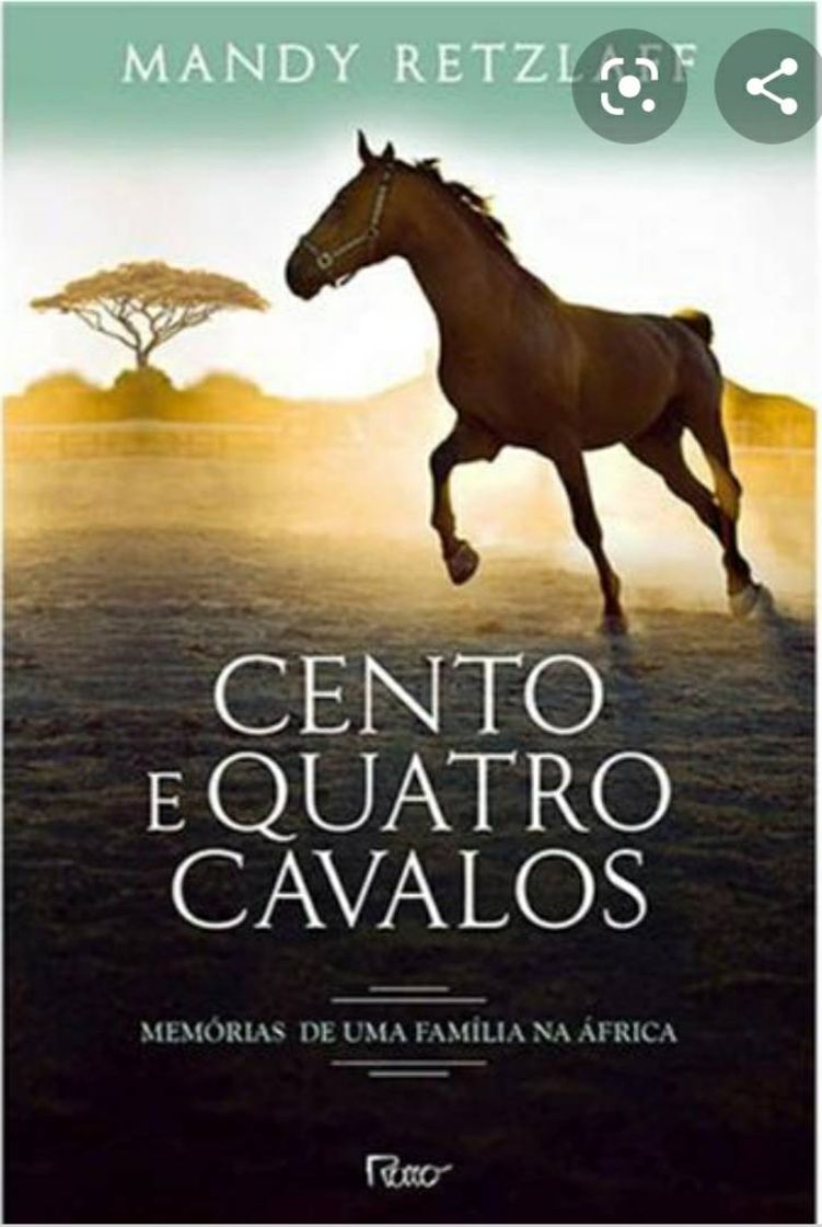 Moda 104 cavalos 