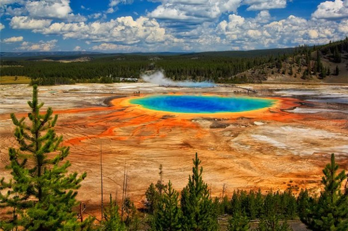 Lugar Parque Nacional Yellowstone