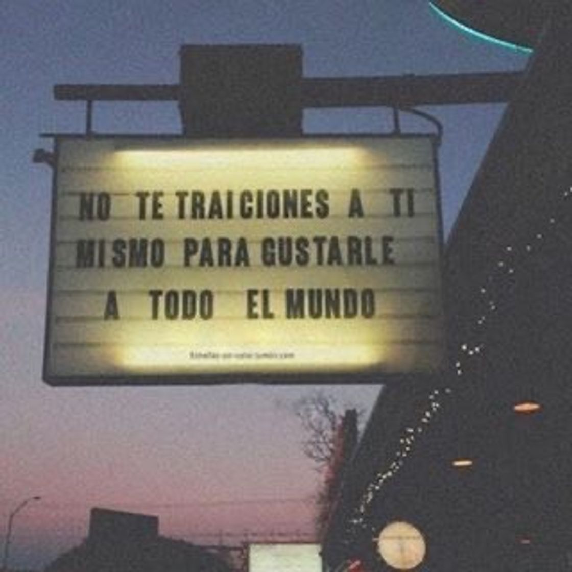 Social h