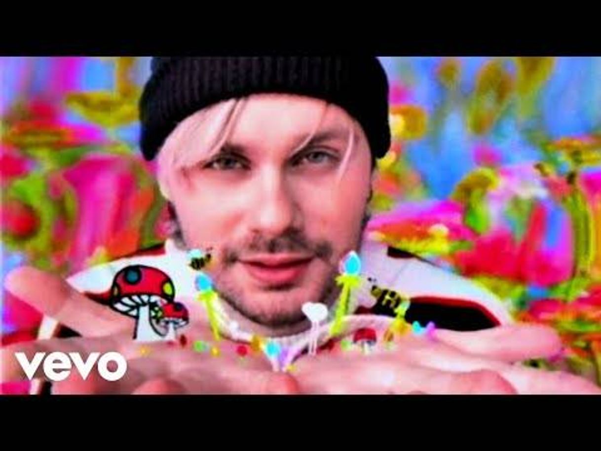 Music 5 Seconds of Summer - Wildflower (Official Video)