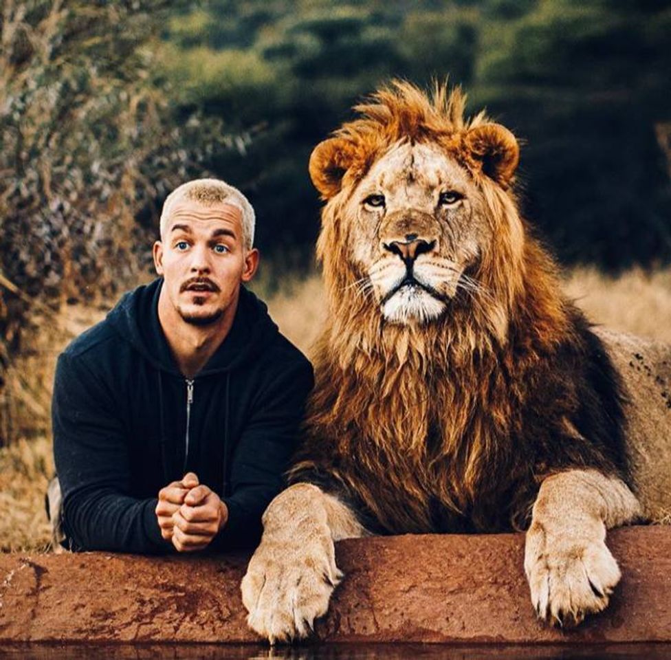 Social Dean Schneider