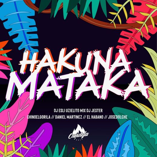 Hakuna Mataka