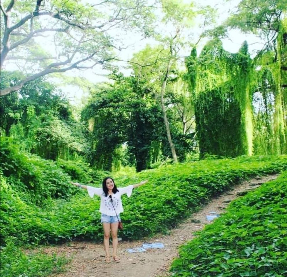 Lugar Bosque de La Habana (parque Metropoitano)