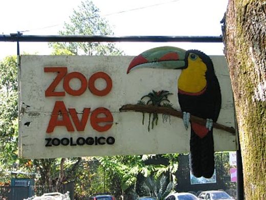 Zoo Ave