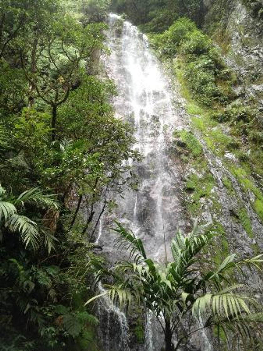 Place Parque Nacional La Tigra