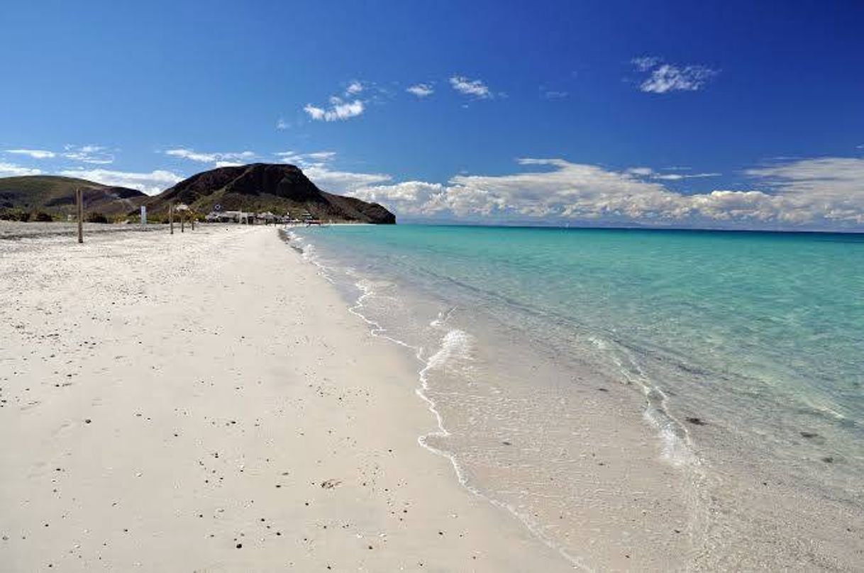 Restaurantes Tecolote Beach