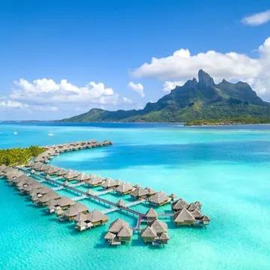 Social Bora bora-Isla Polinesia 