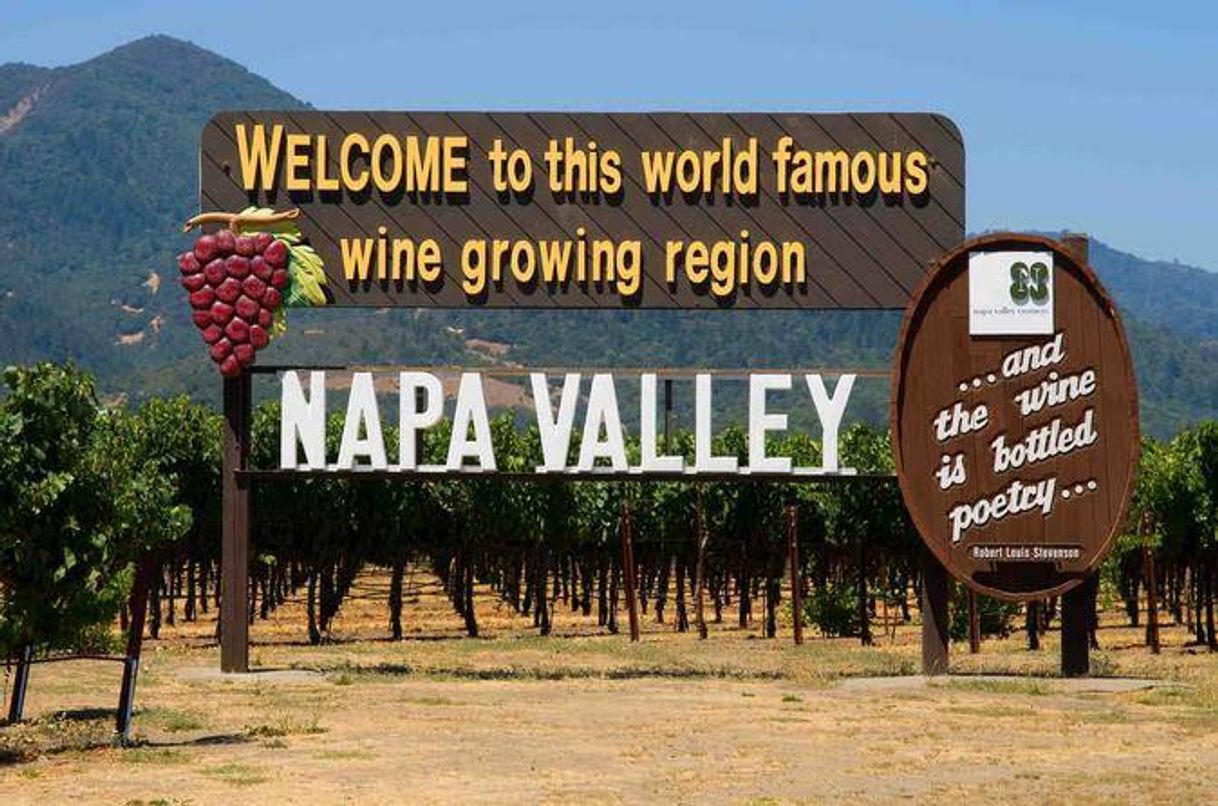 Social Excursión a los valles de Napa y Sonoma, San Francisco
