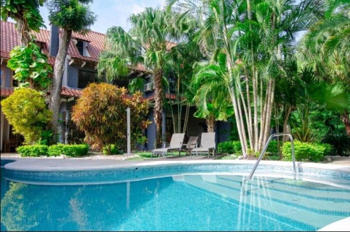 Social Hotel el Manglar