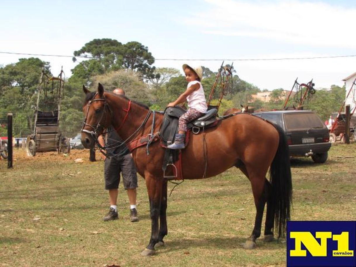 Aplicaciones Clube do Cavalo