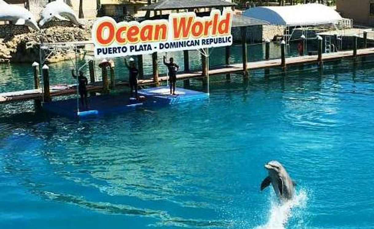 Place Ocean World Adventure Park, Puerto Plata