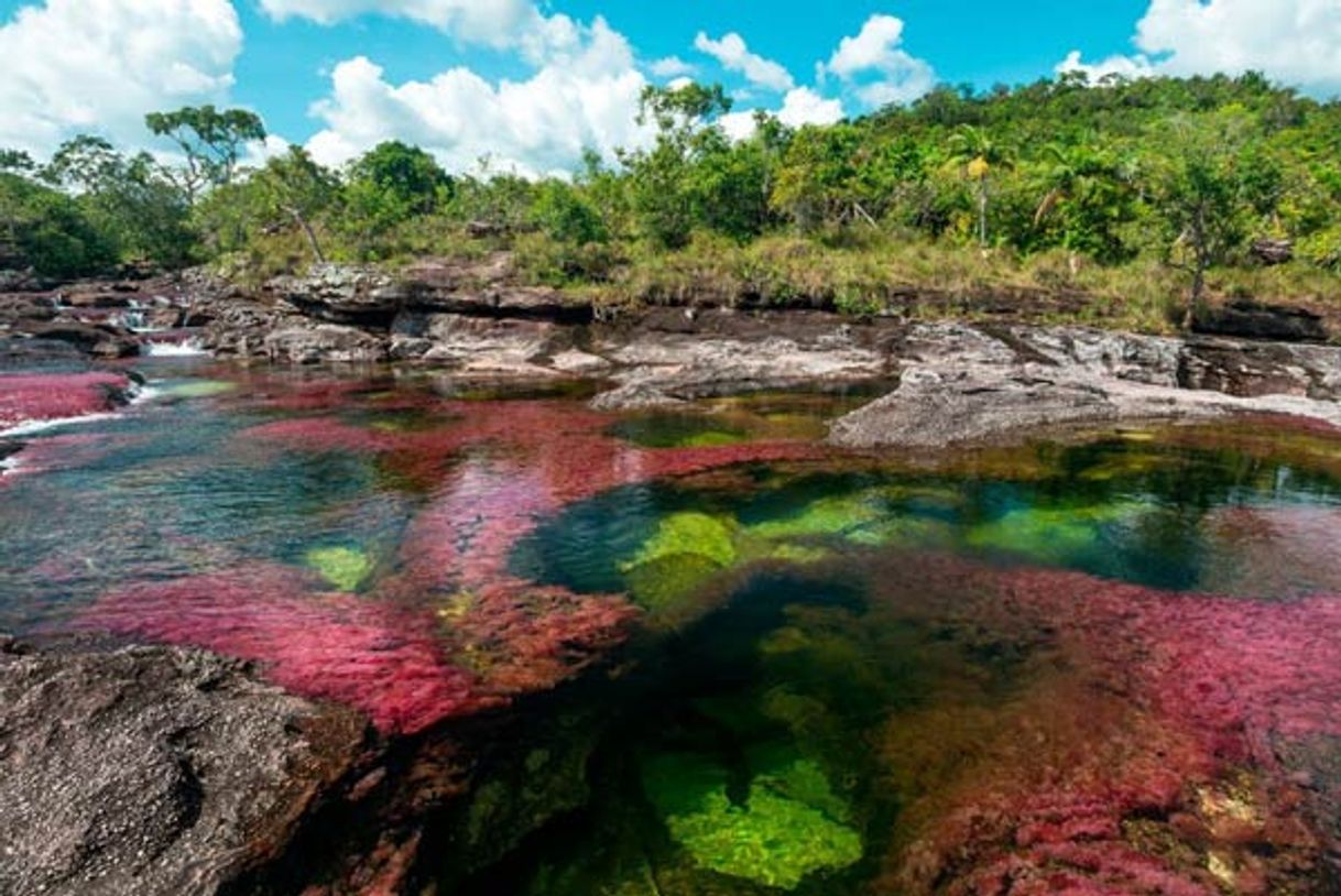 Lugar Caño Cristales