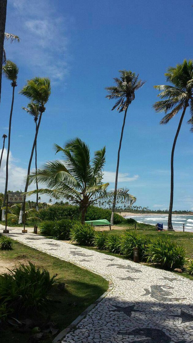 Moda Praia de Guarajuba Bahia