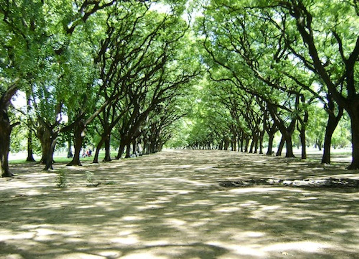 Place Bosques de Palermo