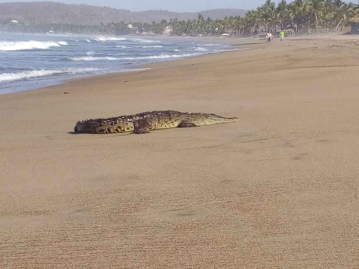 Lugar La Manzanilla