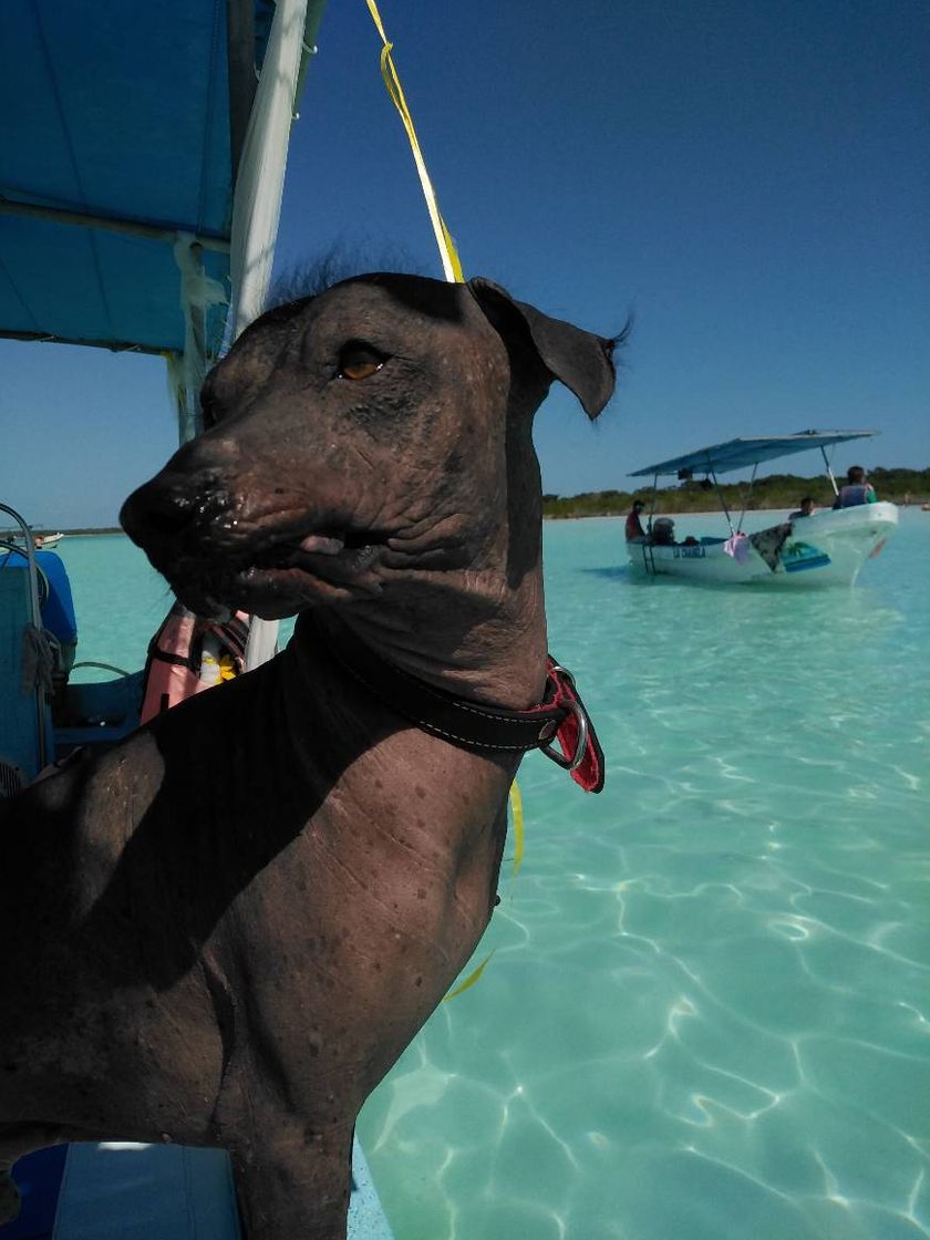 Place Laguna de Bacalar