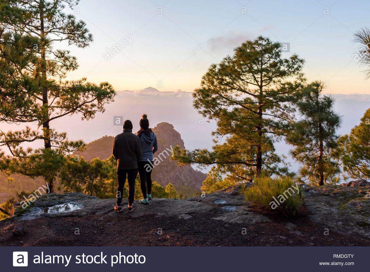 Place Tamadaba Natural Park