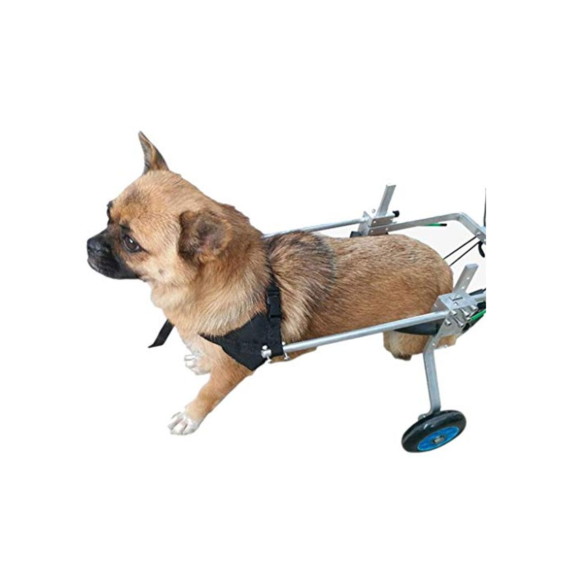 Product Glzcyoo Silla de Ruedas for Perros