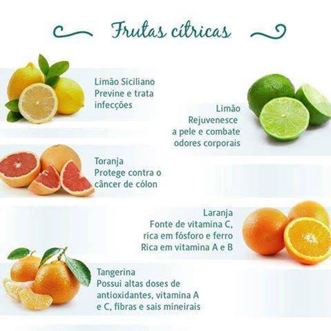 Moda Frutas cítricas e frutas vermelhas