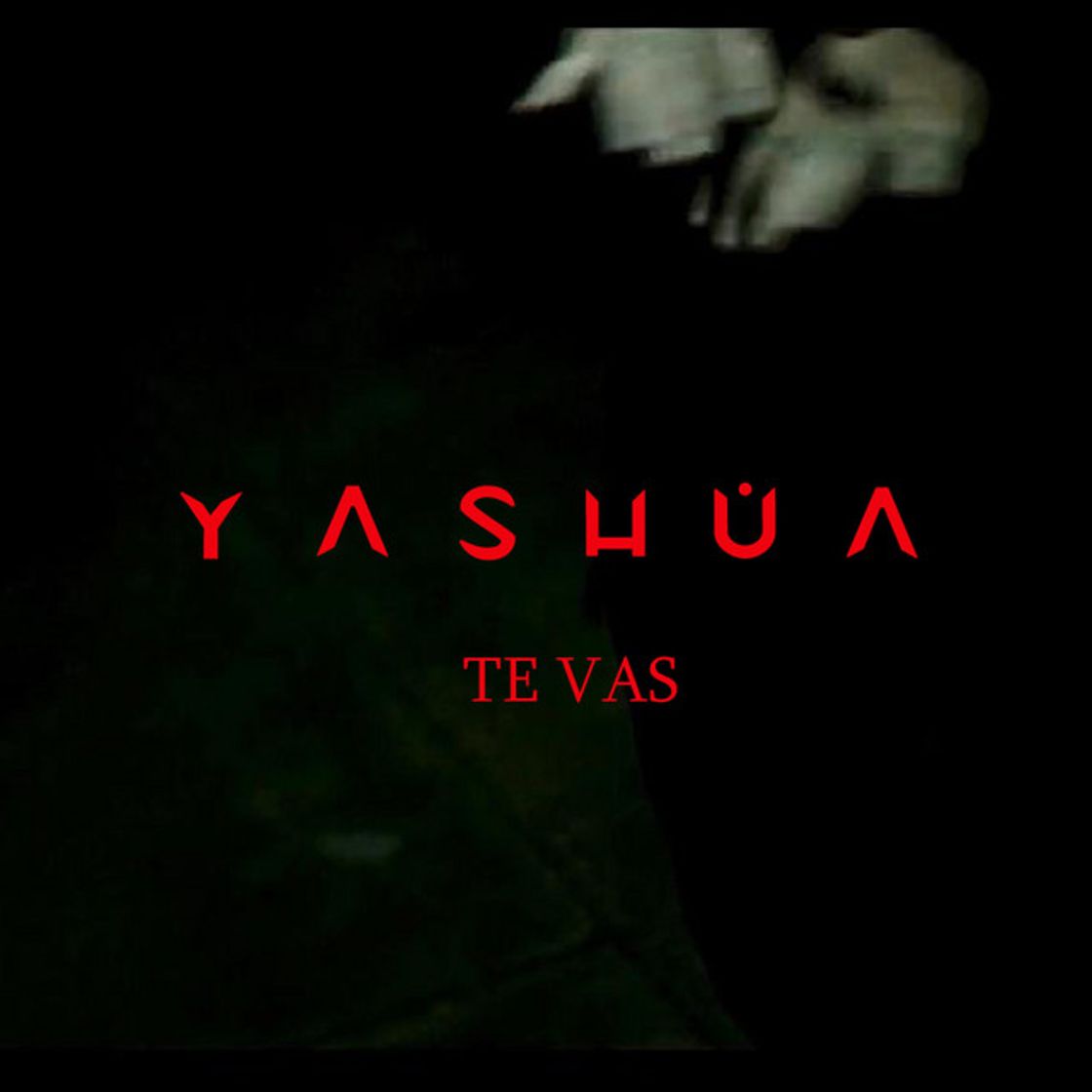 Music Te Vas