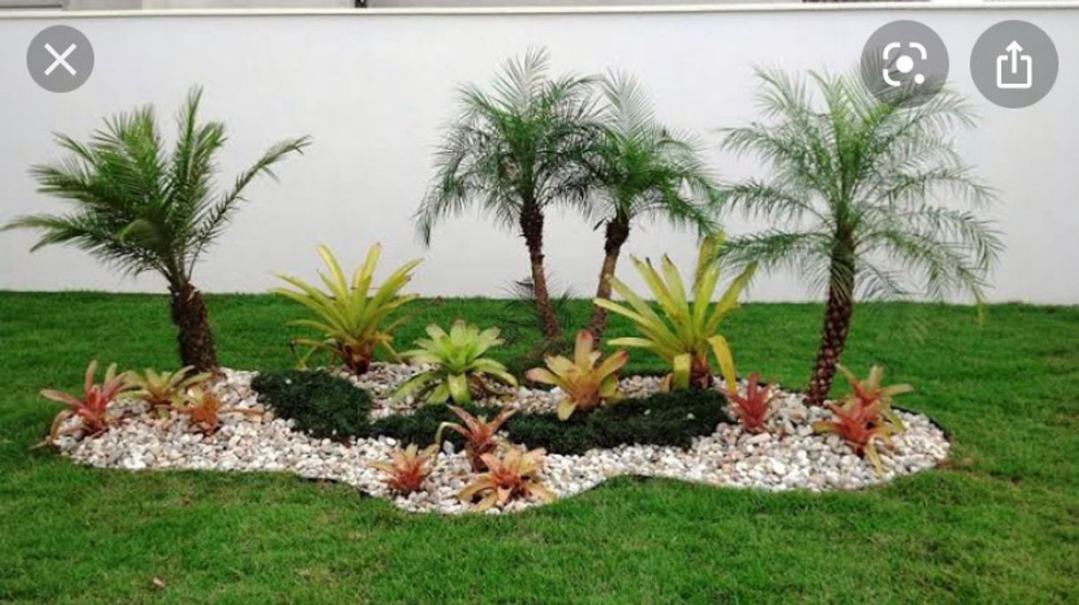 Producto Jardinagem Para Iniciantes Coleção 3 em 1