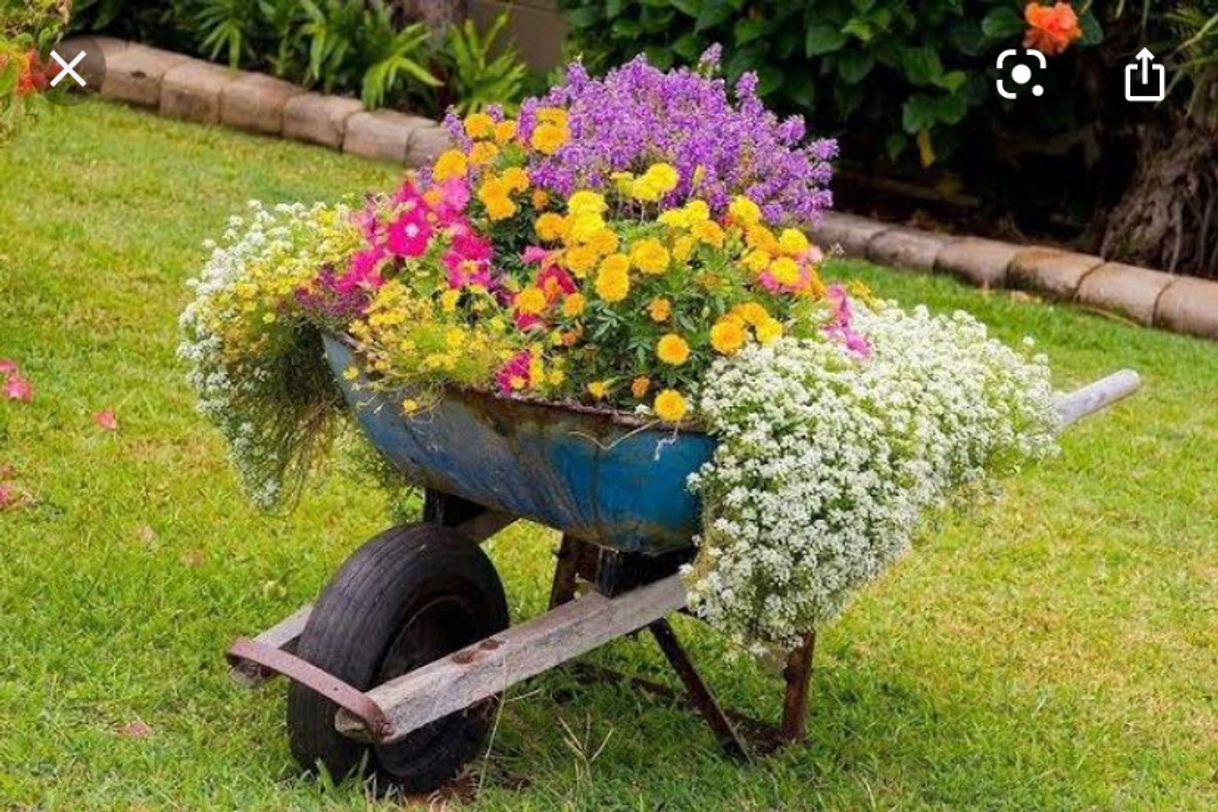 Producto Jardinagem Para Iniciantes Coleção 3 em 1