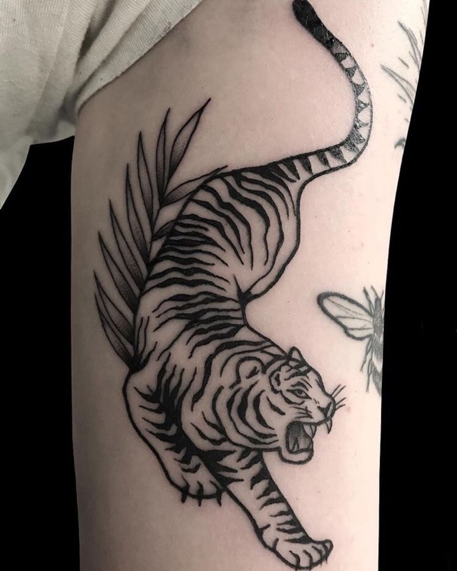 Social Tatuagem de tigre 