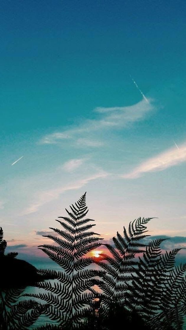 Social Wallpaper