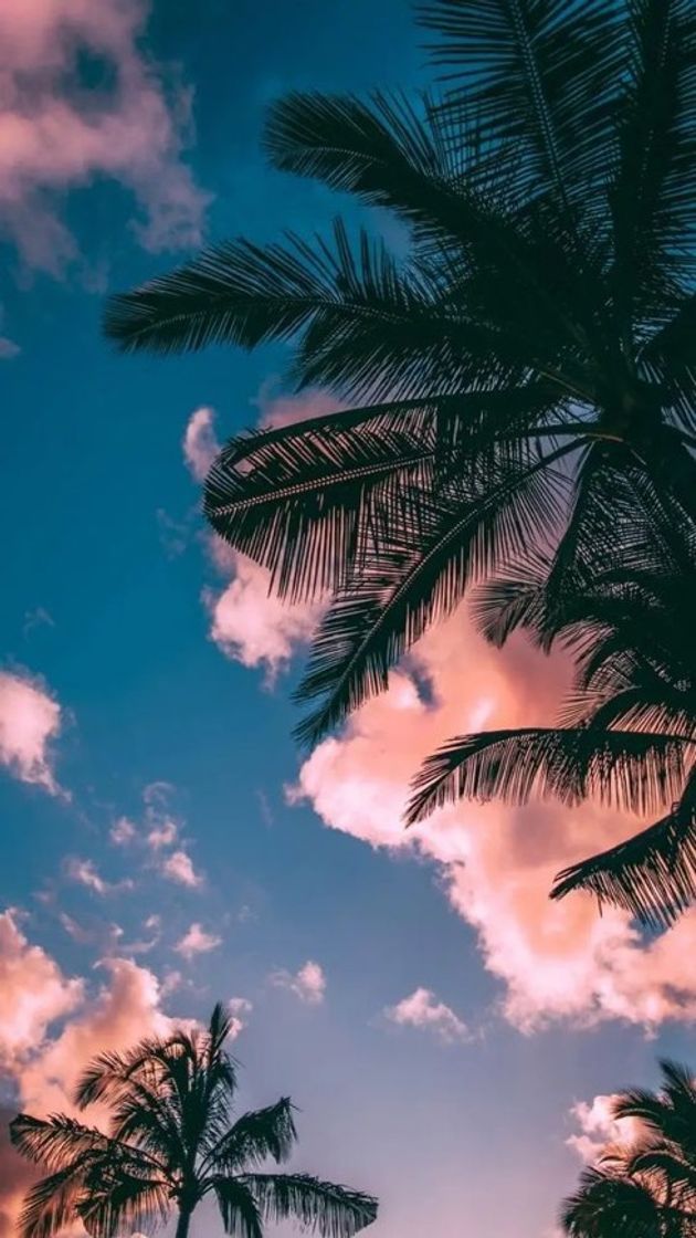 Social Wallpaper❤️