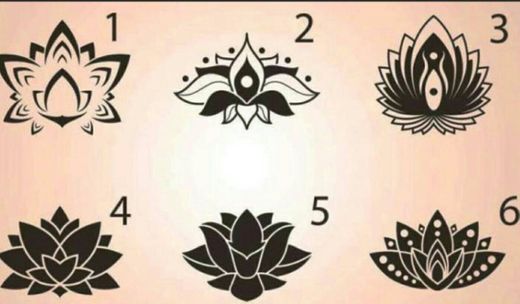 TEST ¿Qué flor de loto elegís?: esto dice de tu personalidad