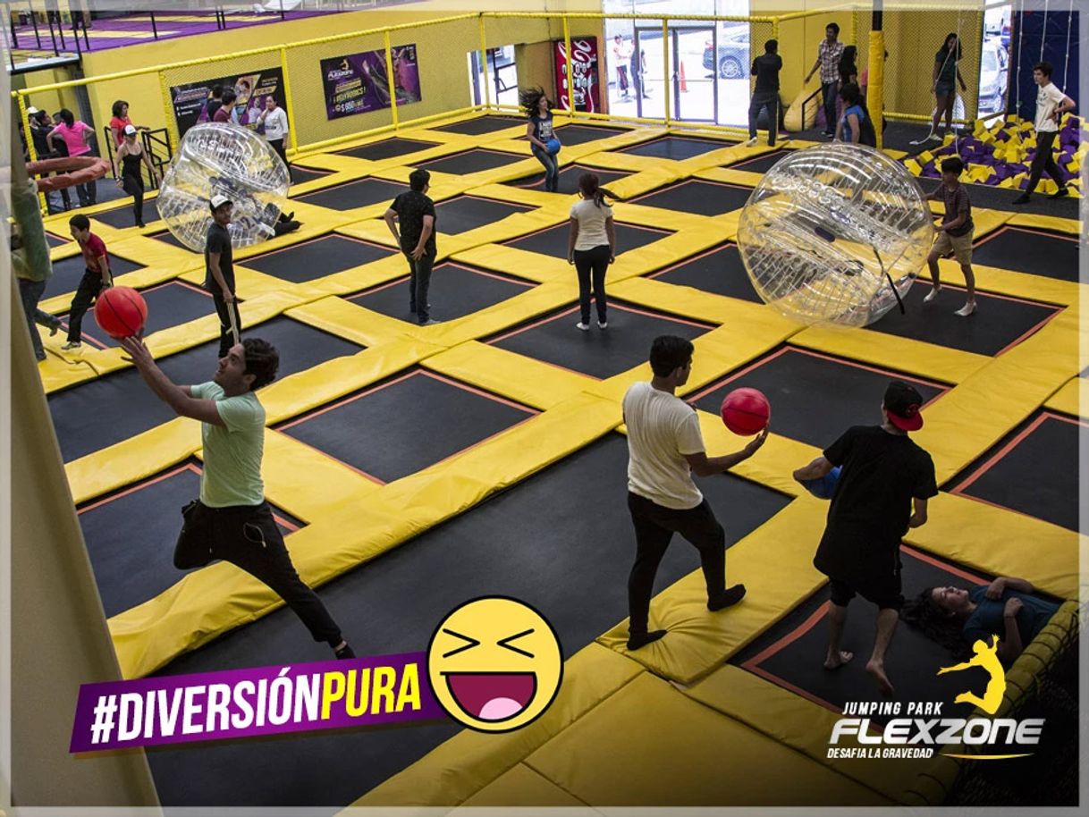 Place Flexzone Angelopolis