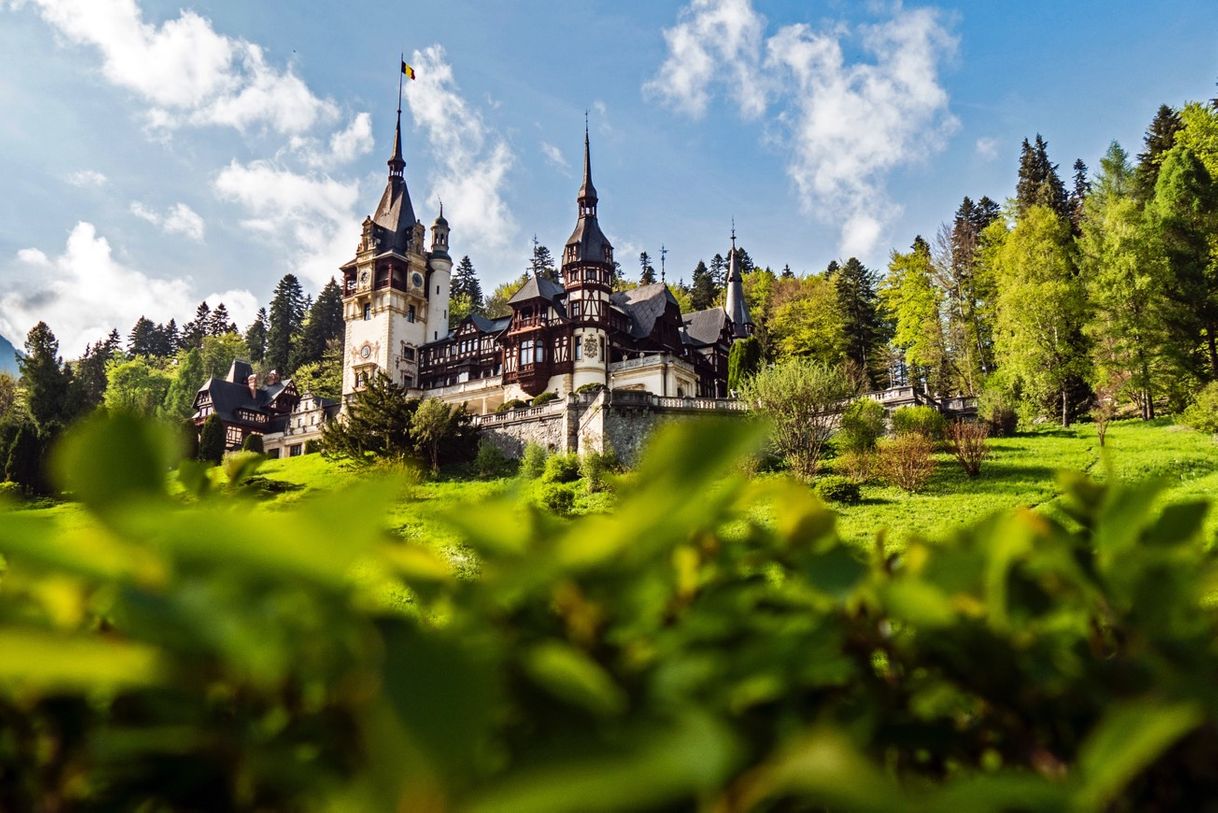 Place România