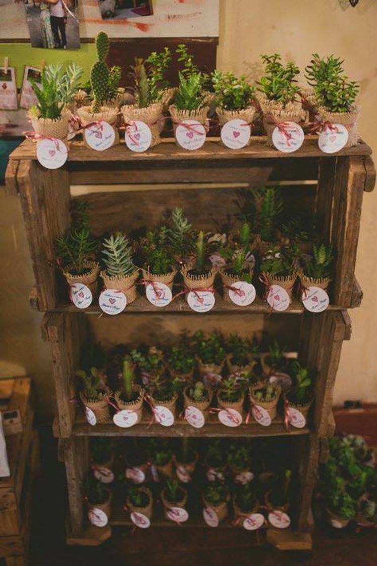 Moda Lembrancinha de casamento: vazinho de plantas 🥰