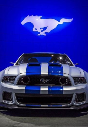 Mustang (Personalizado)