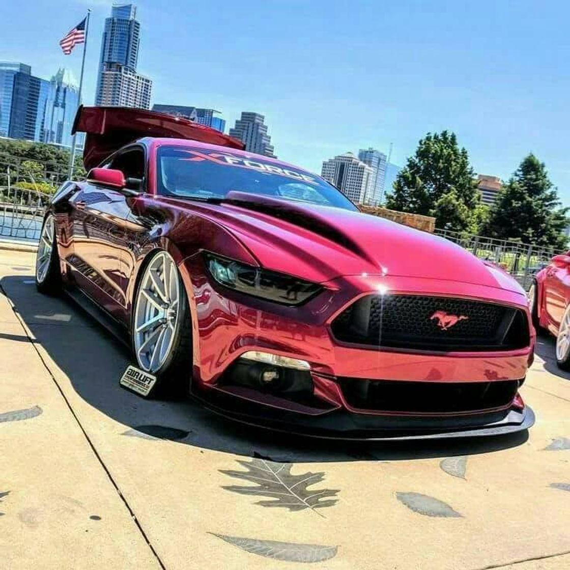 Moda Mustang 