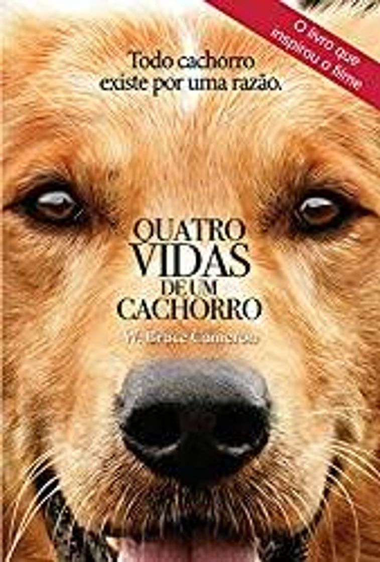 Fashion Quatro vidas de um cachorro - W. Bruce Cameron