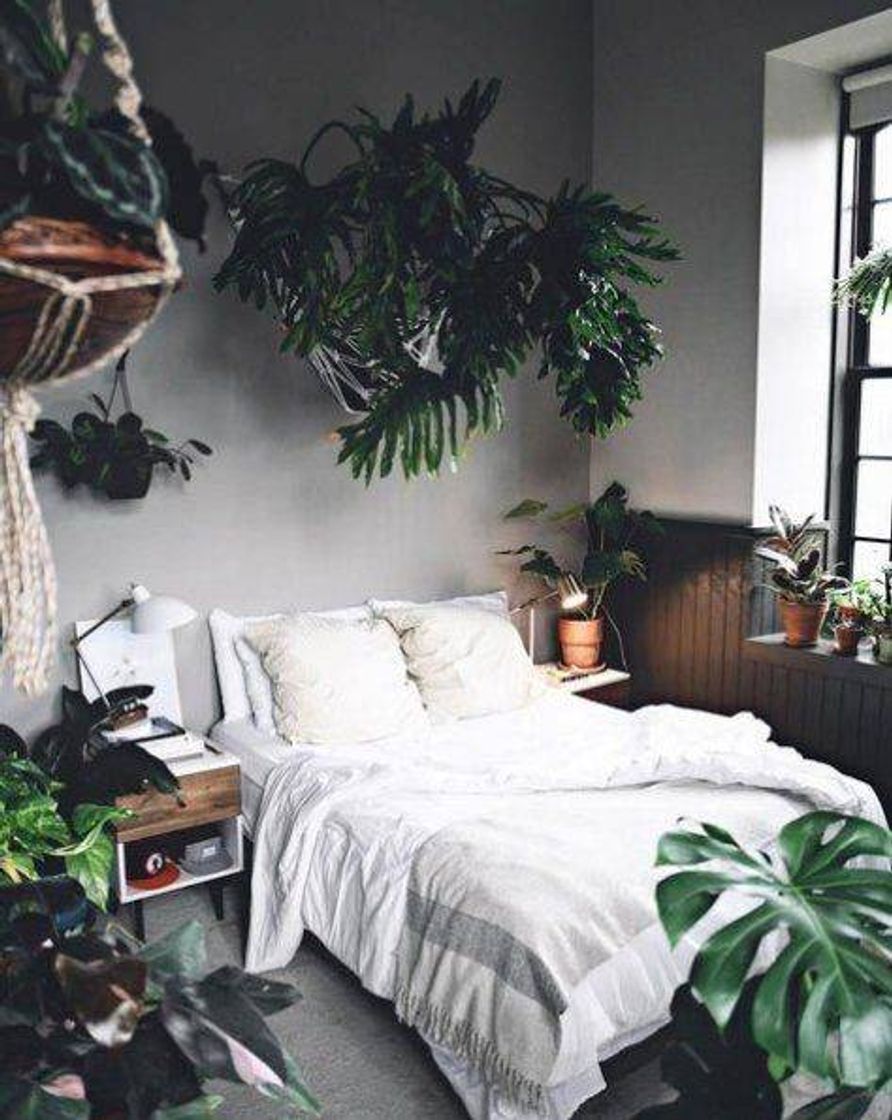 Moda Diseño de interiores con plantas 