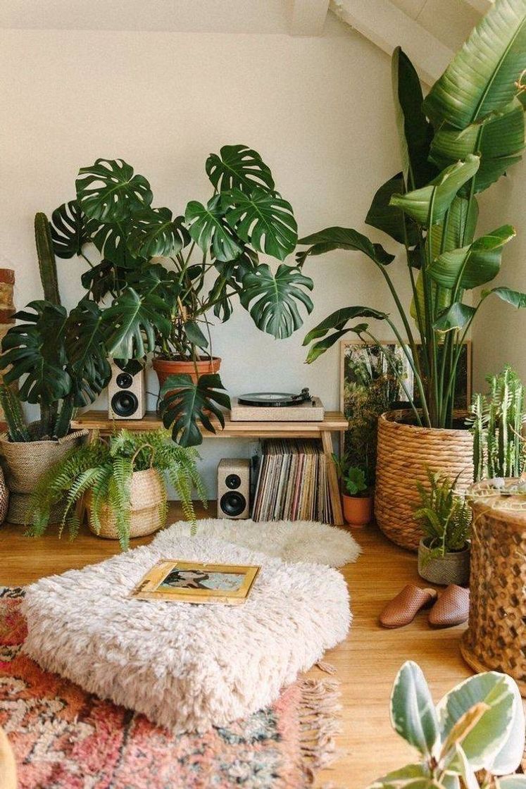 Moda Cuartos con plantas 