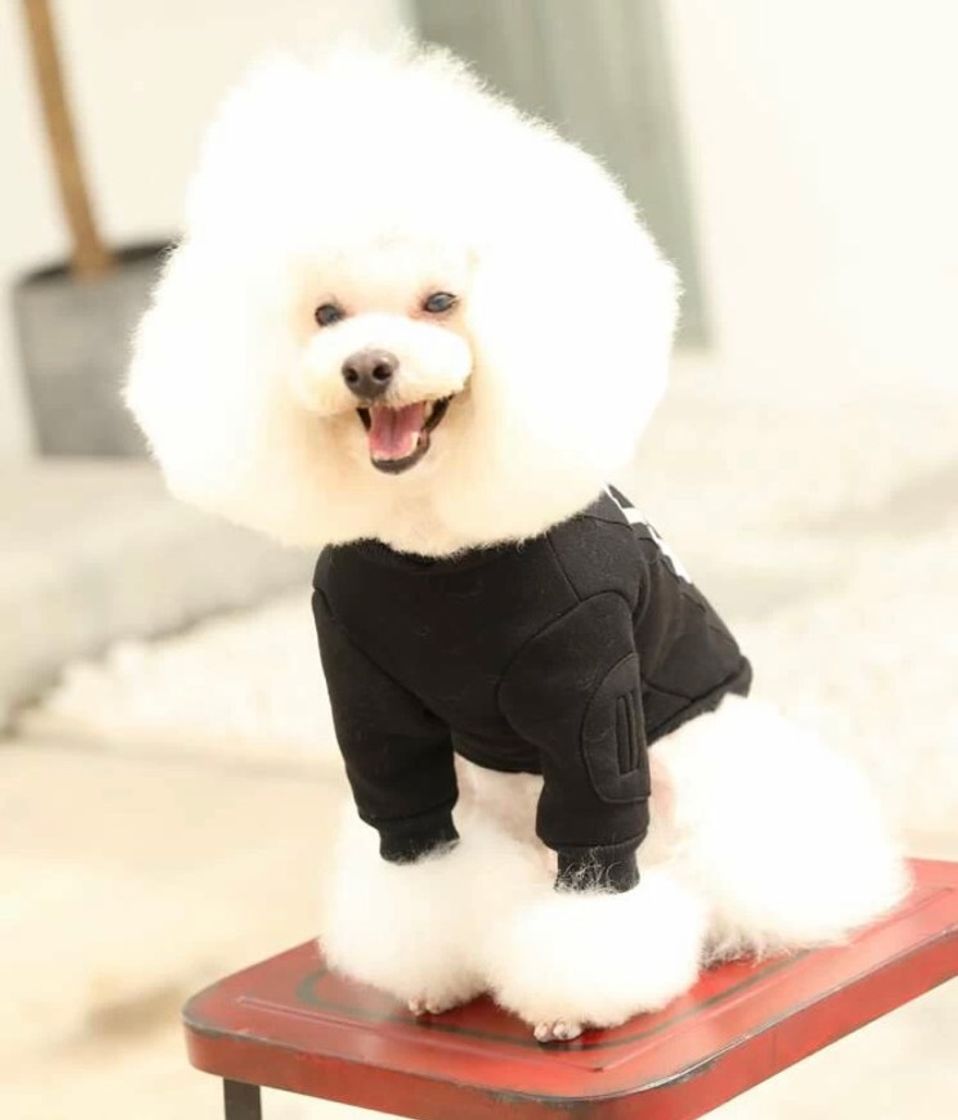 Social Camiseta deportiva de perro con estampado