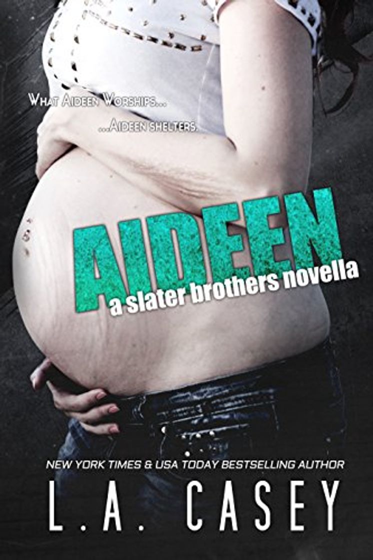 Book AIDEEN: Slater Brothers Book 3.5